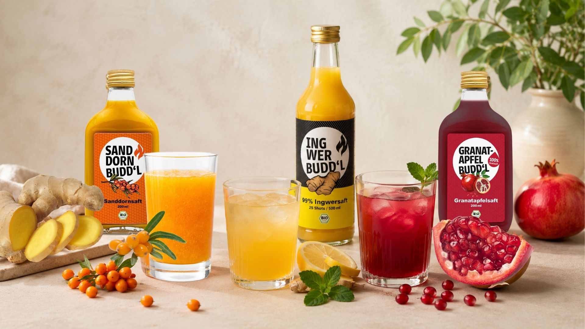 Bio Direktsäfte – Sanddorn, Granatapfel & mehr