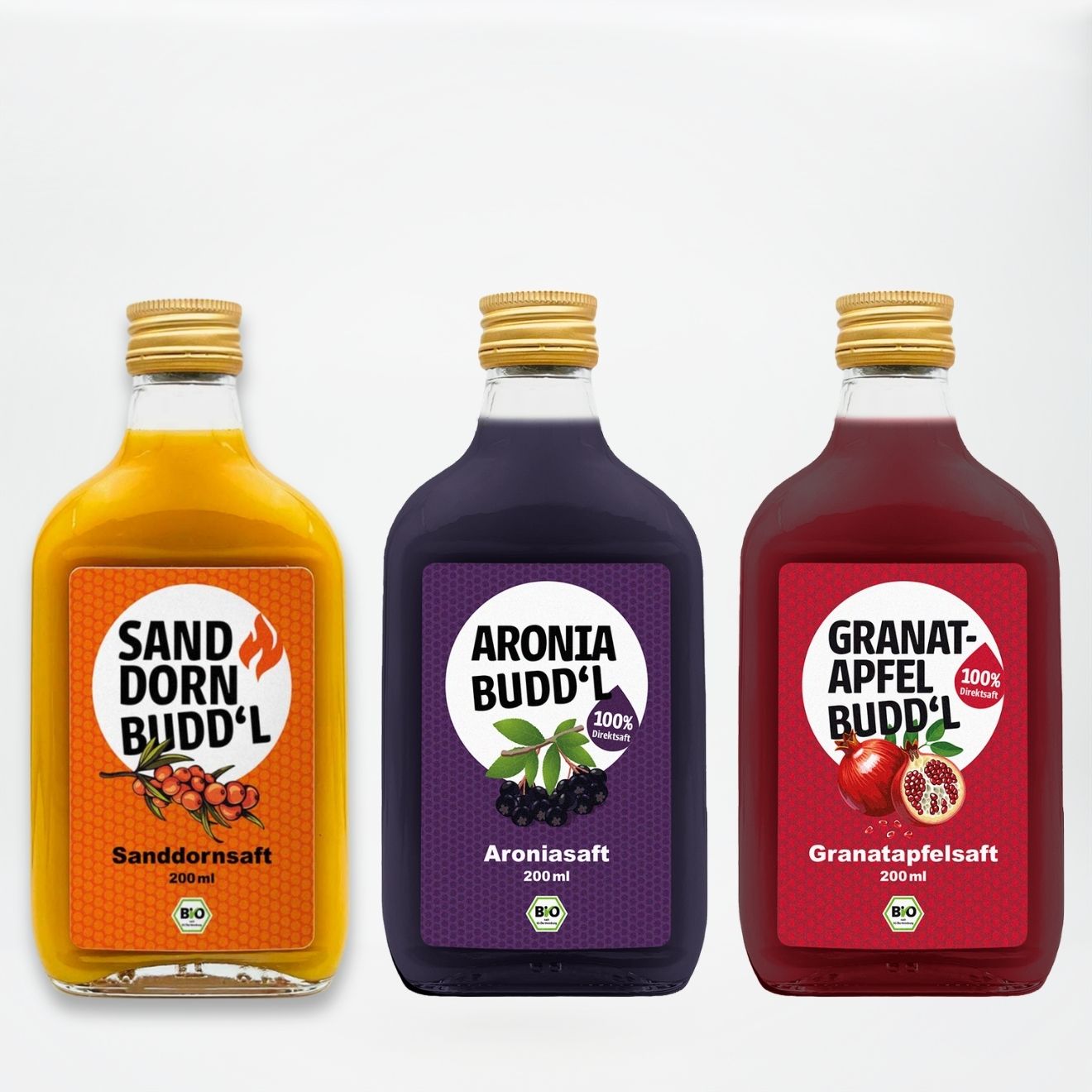 Bio Direktsaft Probierpaket – 3 × 200 ml