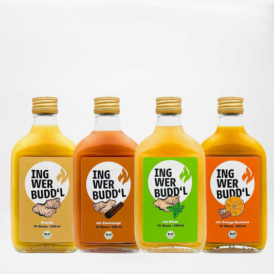 Probierpaket 4×200 ml (Klassik, Orange-Kurkuma, Minze, Zimtstange)