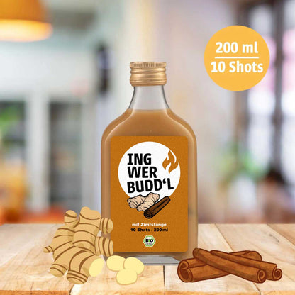 BIO Ingwer mit Zimtstange 200 ml