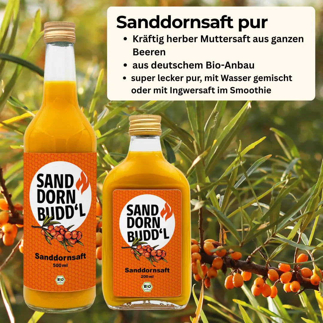 Sanddornsaft pur (Bio Direktsaft)