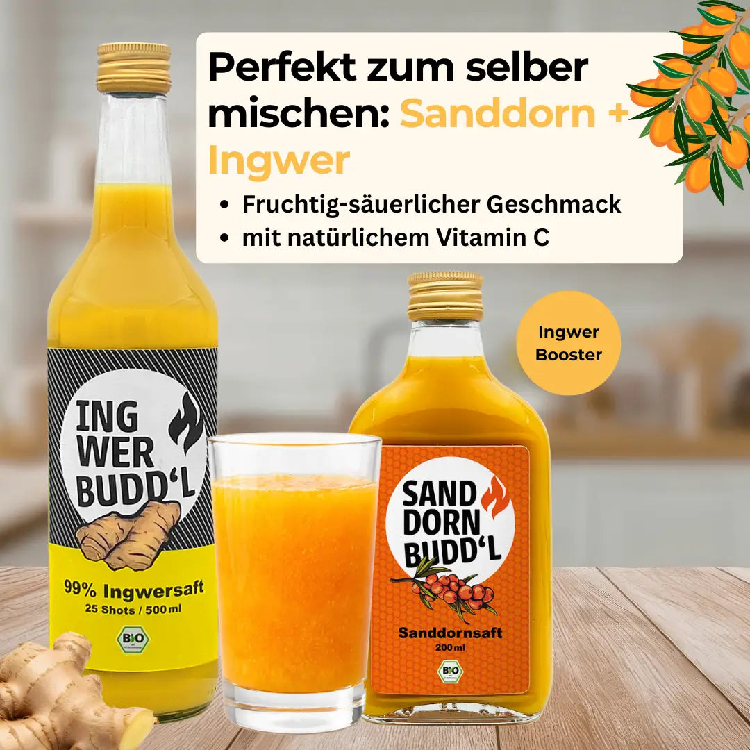 Sanddornsaft pur (Bio Direktsaft)