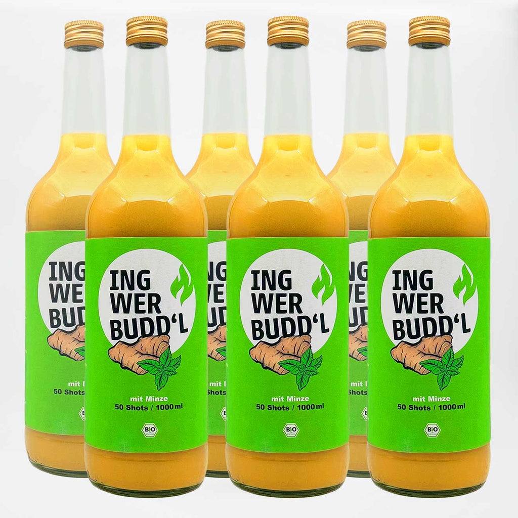 INGWER BUDD'L mit Minze