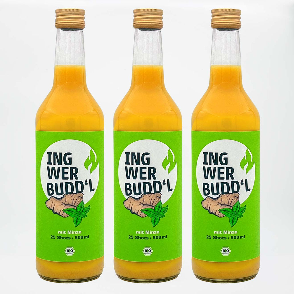 INGWER BUDD'L mit Minze