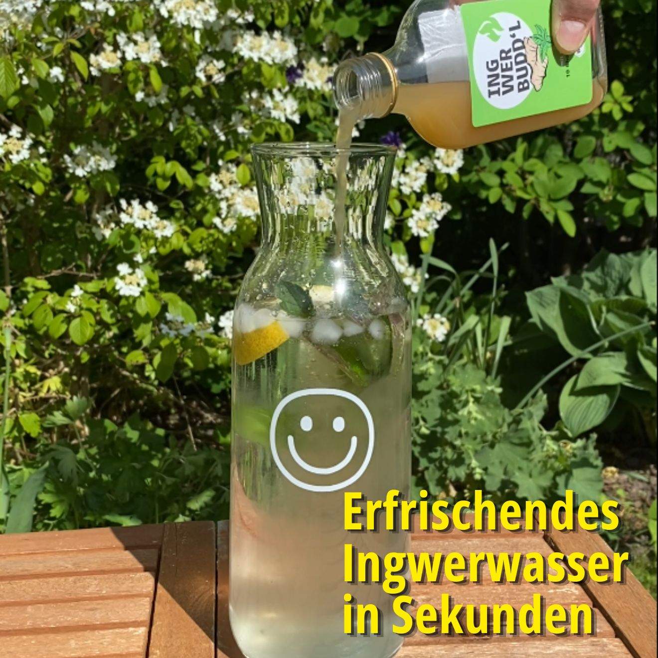 INGWER BUDD'L mit Minze