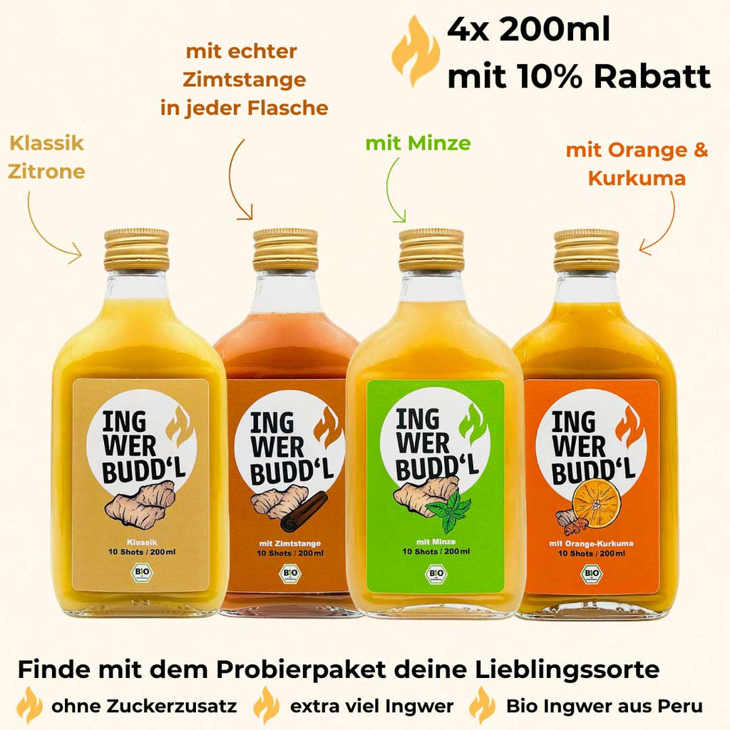 Probierpaket 4×200 ml (Klassik, Orange-Kurkuma, Minze, Zimtstange)