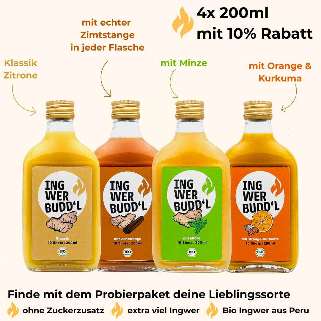 Probierpaket 4×200 ml (Klassik, Orange-Kurkuma, Minze, Zimtstange)